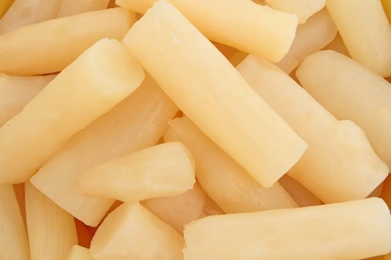 recette salsifis