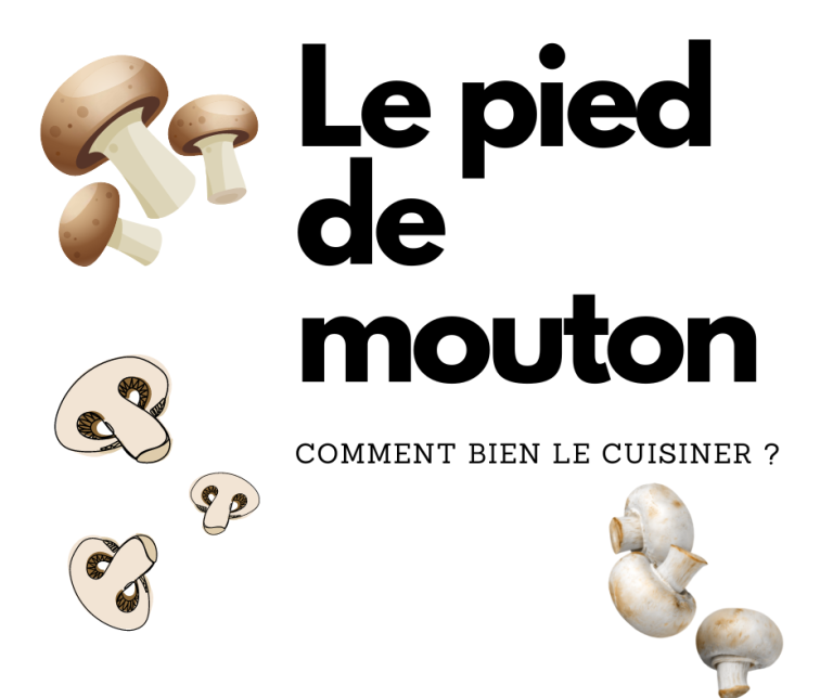 Cuisson Pied De Mouton Champignons XHJRUO — free download