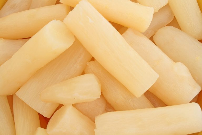 recette salsifis