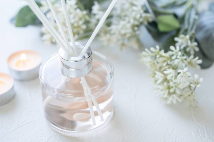 familles parfums